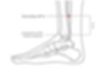 location of acupoint spleen 6