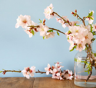 vase of spring flowers