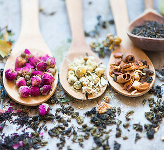 TCM herbs