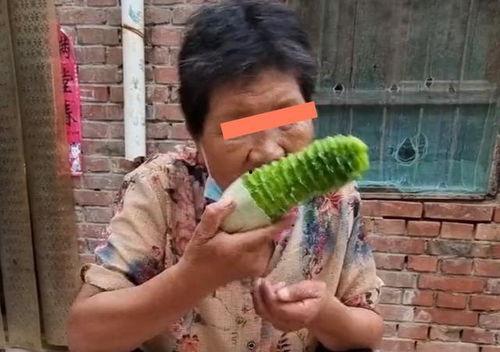 河南吃瓜爆料男孩,揭秘网络爆料的背后故事