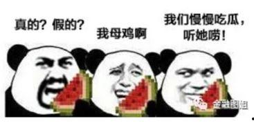 爆料卧槽吃瓜图片,揭秘娱乐圈惊人内幕！