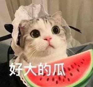 吃瓜爆料刘宇,吃瓜爆料背后的真相与反思