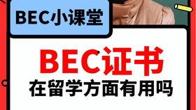 教师吃瓜爆料视频,吃瓜爆料视频背后的真实故事